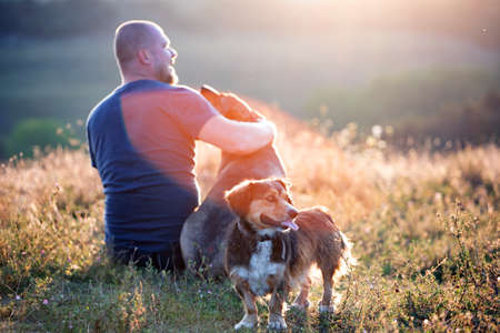 Man and his dog sitting in summer field enjoying amazing sunsetの写真素材