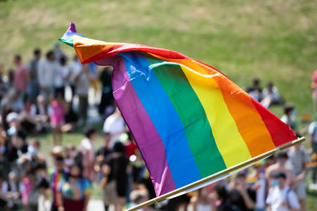 Gay pride, LGBTQ rainbow flags being waved in the air at a pride event