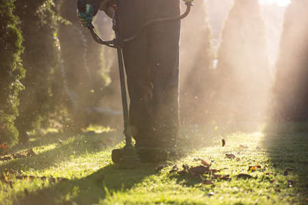 Mowing the grass with a lawn mower. Garden work concept background.