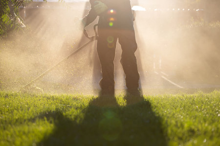 Mowing the grass with a lawn mower. Garden work concept background.の写真素材
