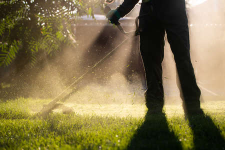 Mowing the grass with a lawn mower. Garden work concept background.