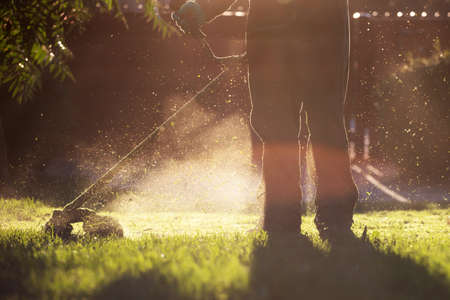 Mowing the grass with a lawn mower. Garden work concept background.の写真素材