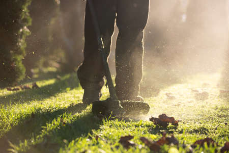 Mowing the grass with a lawn mower. Garden work concept background.