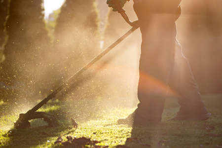 Mowing the grass with a lawn mower. Garden work concept background.