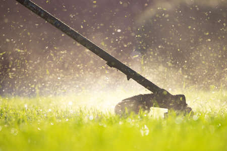 Mowing the grass with a lawn mower. Garden work concept background.の写真素材