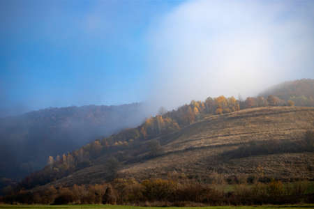 Astonishing autumn landscape with colorful forest.