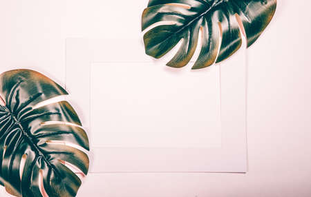 Photo frame with tropical palm leaves on white background. Flat lay with copy spaceの写真素材