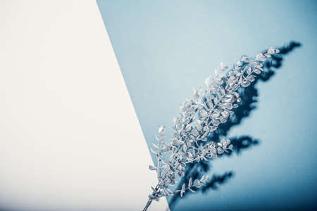 Minimalistic Christmas card mockup with silver branch.の写真素材