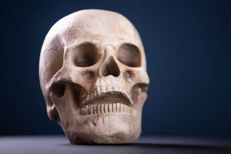 Spooky skull for Halloween. Horror wallpaper.の写真素材