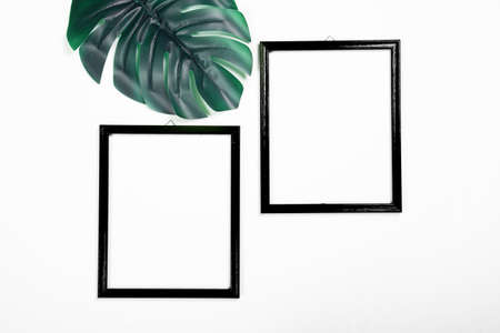 Photo frames with tropical palm leaf on white background. Minimalist flat lay with copy spaceの写真素材