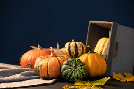 Rustic autumn still life with pumpkins and a basket on a wooden table. Halloween and Thanksgiving...