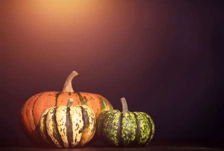 Autumn pumpkin Halloween and Thanksgiving background - orange pumpkins over wooden table
