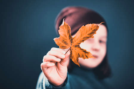 Little girl holding a golden maple leafの写真素材