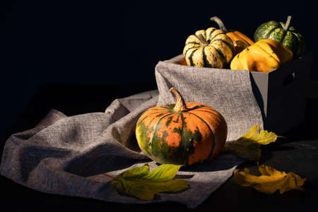 Rustic autumn still life with pumpkins and a basket on a wooden table. Halloween and Thanksgiving...
