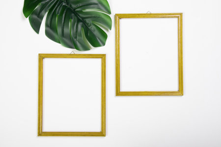 Photo frames with tropical palm leaf on white background. Minimalist flat lay with copy spaceの写真素材
