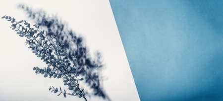 Minimalistic Christmas card mockup with silver branch.