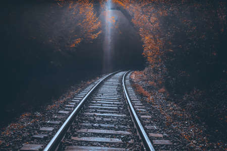 Railway tracks in autumn forestの写真素材