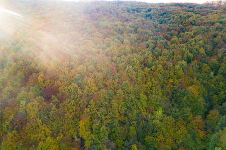 Aerial drone view of Crisul Repede river, near to Ungurul Mare cave. Apuseni mountains, Bihor,...