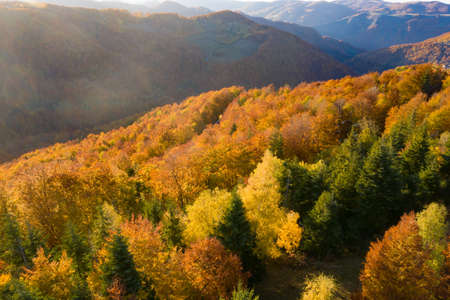 Aerial drone view of autumn forest in magic sunsetの写真素材