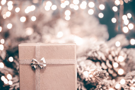 Vintage Christmas background with silver gift box and fir branchの写真素材