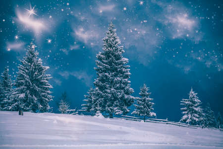 Magic winter landscape with dramatic sunrise, fog and snow - Holiday and Christmas backgroundの写真素材