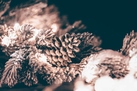 Winter, holidays and decoration concept - fir branch full with snow in magic holiday lightの写真素材