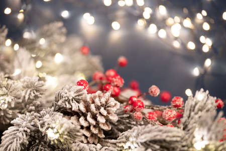 Winter, holidays and decoration concept - fir branch full with snow in magic holiday lightの写真素材