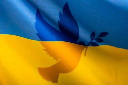 Calling for peace in Ukraine. Dove with Ukraine flag as a symbol of peace.の写真素材