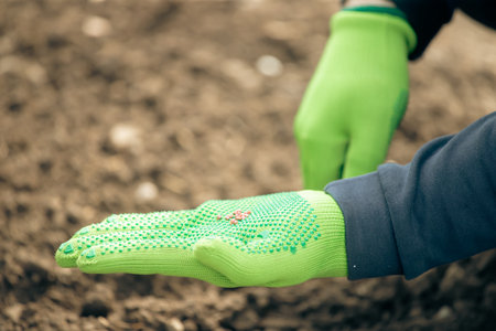 Farmer's hand planting seeds in soil in rows.Agriculture, organic gardening, planting or ecology...