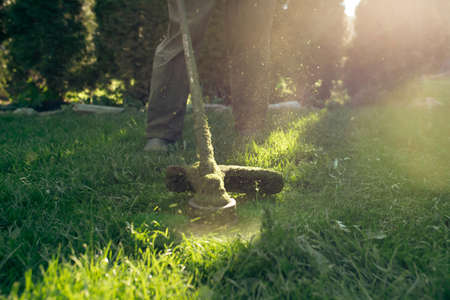 Mowing the grass with a lawn mower. Garden work concept background.
