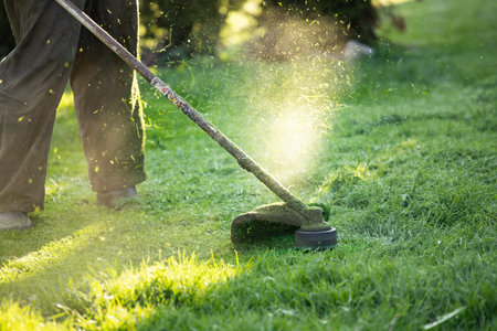 Mowing the grass with a lawn mower. Garden work concept background.