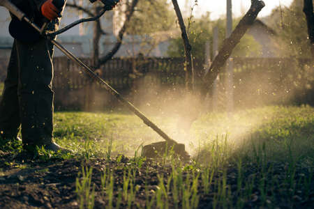 Mowing the grass with a lawn mower. Garden work concept background.