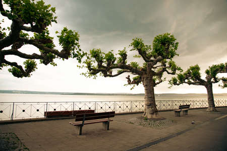 Bench and platanus tree with beautiful view over Lake Constance, Meersburg, Germanyの写真素材