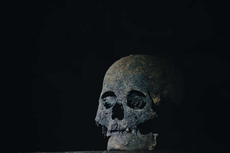 Real human skull in mysterious, foggy light. Spooky, horror wallpaper for Halloween.