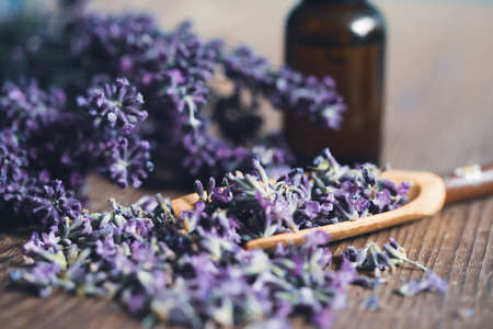Glass bottle of Lavender essential oil with fresh lavender flowers wooden rustic table. Aromatherapy, spa, massage concept.の写真素材