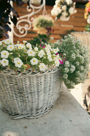 Close up on a basket with flowers in summer gardenの写真素材