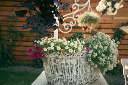 Close up on a basket with flowers in summer gardenの写真素材