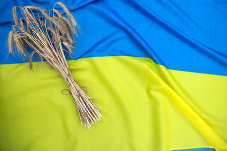 Grain harvest, ukrainian flag, ears of wheat, rye, oats. Symbol of export from Ukraine to other countries to avoid the global food crisisの写真素材