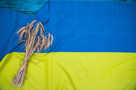 Grain harvest, ukrainian flag, ears of wheat, rye, oats. Symbol of export from Ukraine to other countries to avoid the global food crisisの写真素材