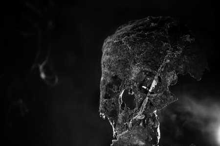 Real human skull in mysterious, foggy light. Spooky, horror wallpaper for Halloween.の写真素材