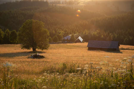 Beautiful summer meadow and small wooden house in magic sunsetの写真素材