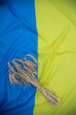Grain harvest, ukrainian flag, ears of wheat, rye, oats. Symbol of export from Ukraine to other countries to avoid the global food crisisの写真素材