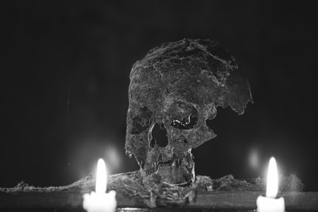 Real human skull in mysterious, foggy light. Spooky, horror wallpaper for Halloween.の写真素材