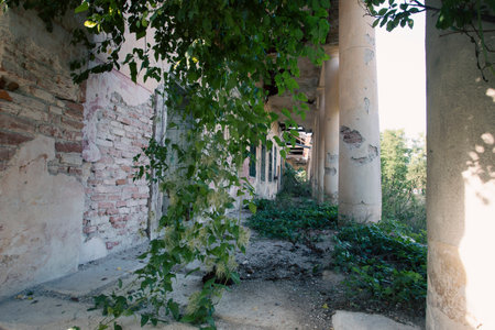 Old house with a terrace surrounded by greenery. Dark dirty grunge and creepy atmosphereの写真素材