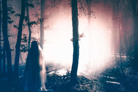 Horror background of a ghostly figure in enchanted a forest on a moody, foggy night. Halloween conceptの写真素材