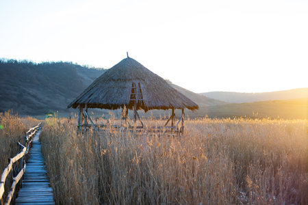 Old wooden boardwalk with a railing on the side and watchtower in the Sic reed reservation, Cluj , Romaniaの写真素材
