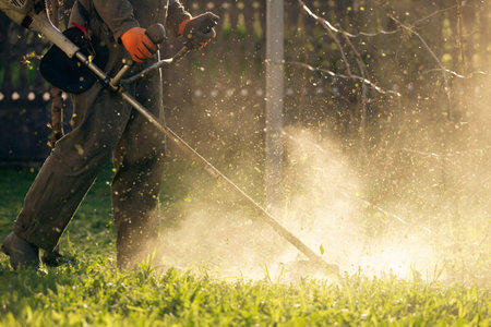 Mowing the grass with a lawn mower. Garden work concept background.の写真素材