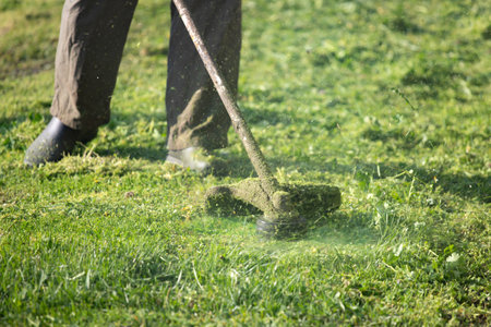 Mowing the grass with a lawn mower. Garden work concept background.の写真素材