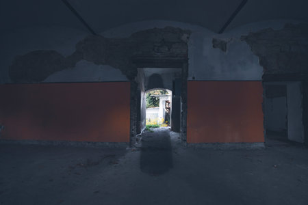 Ghost in abandoned, haunted house. Horror scene of scary spirit of a black widow, halloween concept.の写真素材