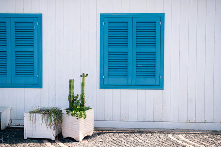 Blue door with cactus and the traditional white walls in the Procida Island, Italyの写真素材